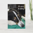 Suche nach hunde humor karten Für sie