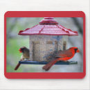Suche nach kardinal mousepads Tulpen rot