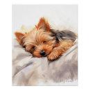 Suche nach yorkshire terrier kunst poster Niedlich