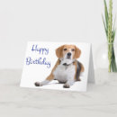 Suche nach beagle karten Welpe
