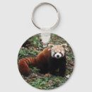 Suche nach roter panda schlüsselanhänger China