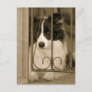 Suche nach hund Tier