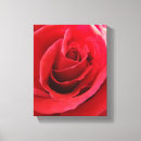 Suche nach romantik poster leinwandbilder Valentine