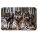 Suche nach wolf magnete Elch