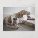 Suche nach liegend poster Volle länge