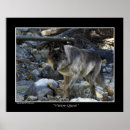 Suche nach grauer wolf poster Kaninchen