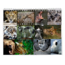 Suche nach bären kalender Wolf