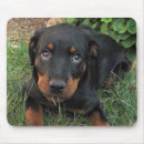 Suche nach rottweiler hund mousepads Tiere