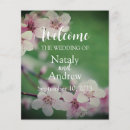 Suche nach hintergrund flyer Rosa