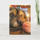 Suche nach hund karten Party