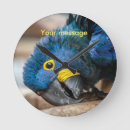 Suche nach blauer papagei wanduhren Vogel