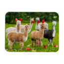 Suche nach bier spaß magnete Erwachsen