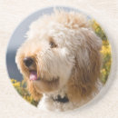 Suche nach alarm untersetzer Hund