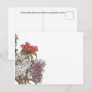 Suche nach chrysantheme postkarten Jugendstil
