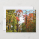 Suche nach herbstbäume karten Landschaft