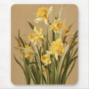 Suche nach narzisse mousepads Botanisch