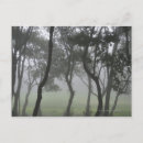 Suche nach dosen postkarten Natur