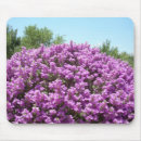 Suche nach blühende pflanzen mousepads Flora