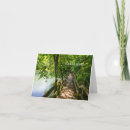 Suche nach wanderung karten Natur