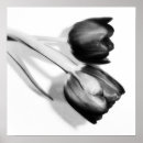 Suche nach black and white photography poster Flower