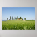 Suche nach zypresse poster Italien