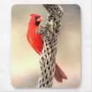 Suche nach kardinal vogel mousepads Tierwelt