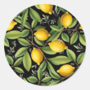 Suche nach limonade aufkleber Limoncello