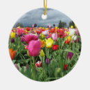 Suche nach tulpen ornamente Flora