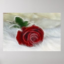 Suche nach romantische rote rose poster Liebe