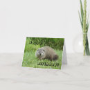 Suche nach groundhogs karten Nagetier