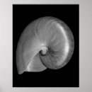 Suche nach nautilus poster Meer