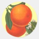 Suche nach kisten aufkleber Frucht
