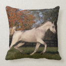 Suche nach arabische kissen Reiter