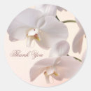 Suche nach weiße orchidee danken Foto