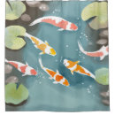 Suche nach koi aquarell Aquarium