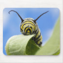 Suche nach raupe mousepads Schmetterlinge