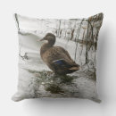 Suche nach ente kissen Entnahme