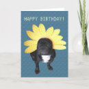 Suche nach french bulldog postkarten Blume