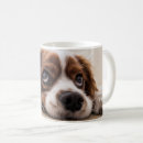 Suche nach spaniels tassen Charles