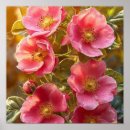 Suche nach helle blumen poster Muster