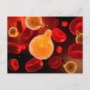 Suche nach eukaryote poster Mikroorganismus
