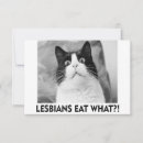 Suche nach verrückte katze karten Für sie