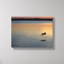 Suche nach pelikane leinwandbilder Sonnenuntergang