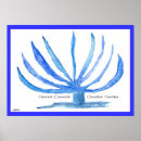 Suche nach chanukah poster Hannukah