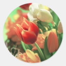Suche nach blumenkohl aufkleber Quelle