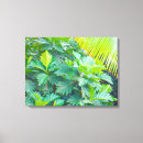 Suche nach oahu leinwandbilder Hawaii