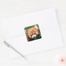 Suche nach roter panda aufkleber China