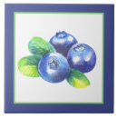 Suche nach heidelbeere fliesen Obst