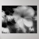 Suche nach kontrast poster Natur