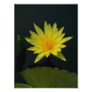 Suche nach dutzend poster Fotografie